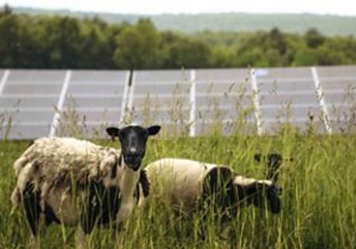 Preserving Natural Resources and Wildlife in Suffolk County, New York