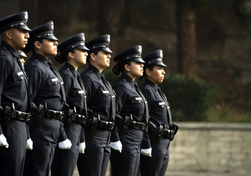 Public Safety and Law Enforcement in Suffolk County, New York: Ensuring the Safety of Citizens